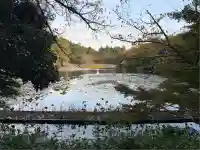 龍安寺(京都府)