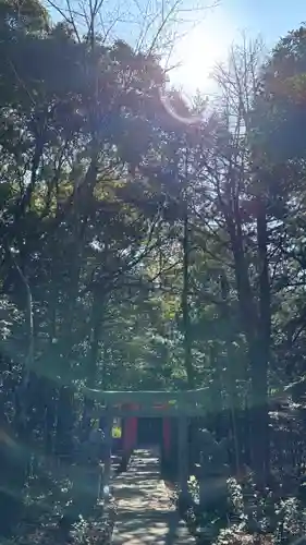 大麻比古神社(徳島県)
