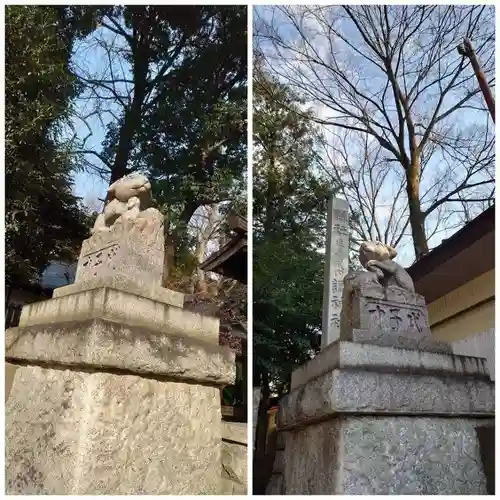 調神社の狛犬