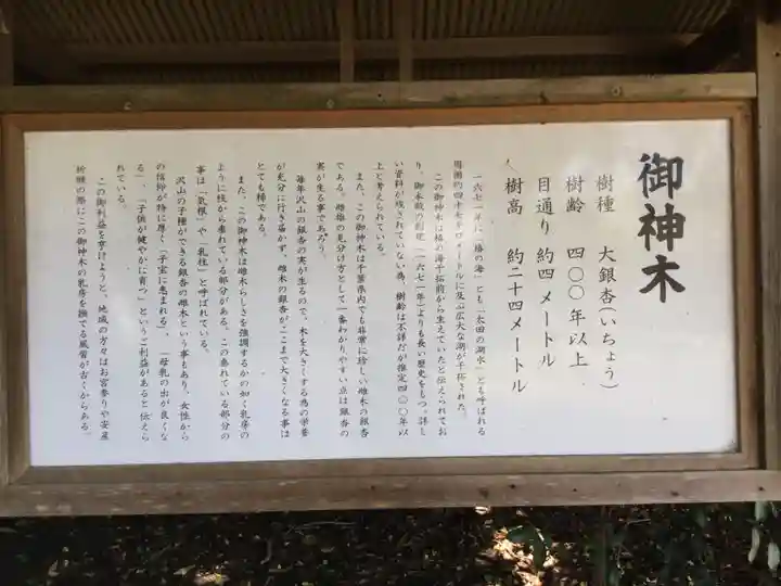 鎌数伊勢大神宮(千葉県)