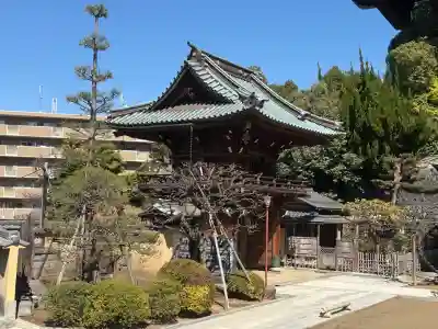 高松寺の{uncategorized: "未分類", other: "その他", undefined: "問題あり", building: "その他建物", grave: "お墓", sacred_gate: "鳥居", guardian: "狛犬", statue: "像", buddha: "仏像", history: "歴史", nature: "自然", garden: "庭園", animal: "動物", pagoda: "塔", temizu: "手水舎", mountain_gate: "山門・神門", sanctuary: "本殿・本堂", subordinate: "末社・摂社", art: "芸術", scenery: "景色", jizo: "地蔵", ema: "絵馬", goshuin: "御朱印", omikuji: "おみくじ", items: "授与品その他", amulet: "お守り", goshuincho: "御朱印帳", eats: "食事", festival: "お祭り", votive_dance: "神楽", shichigosan: "七五三参", wedding: "結婚式", experience: "体験その他", initially: "初詣", around: "周辺", anti_infection: "感染症対策"}