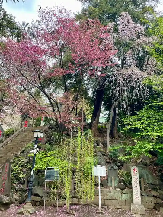 駒込富士神社の{uncategorized: "未分類", other: "その他", undefined: "問題あり", building: "その他建物", grave: "お墓", sacred_gate: "鳥居", guardian: "狛犬", statue: "像", buddha: "仏像", history: "歴史", nature: "自然", garden: "庭園", animal: "動物", pagoda: "塔", temizu: "手水舎", mountain_gate: "山門・神門", sanctuary: "本殿・本堂", subordinate: "末社・摂社", art: "芸術", scenery: "景色", jizo: "地蔵", ema: "絵馬", goshuin: "御朱印", omikuji: "おみくじ", items: "授与品その他", amulet: "お守り", goshuincho: "御朱印帳", eats: "食事", festival: "お祭り", votive_dance: "神楽", shichigosan: "七五三参", wedding: "結婚式", experience: "体験その他", initially: "初詣", around: "周辺", anti_infection: "感染症対策"}