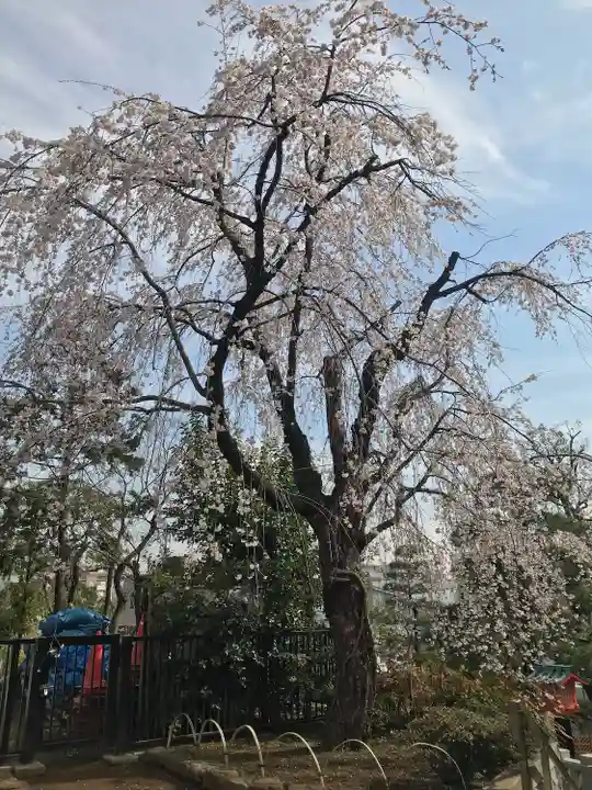 穴八幡宮(東京都)
