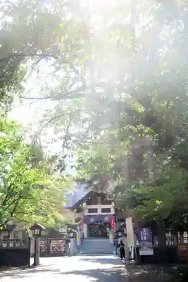 豊平神社(北海道)