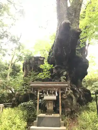 來宮神社(静岡県)