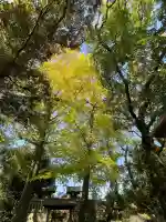 白金龍王社(愛知県)