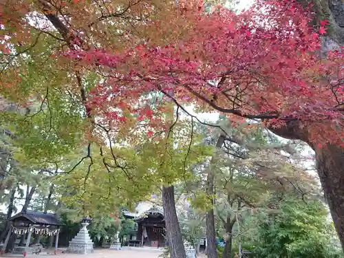 三嶋神社の自然