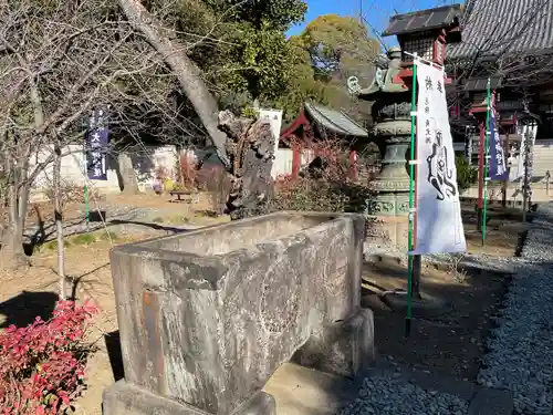 寛永寺開山堂の庭園