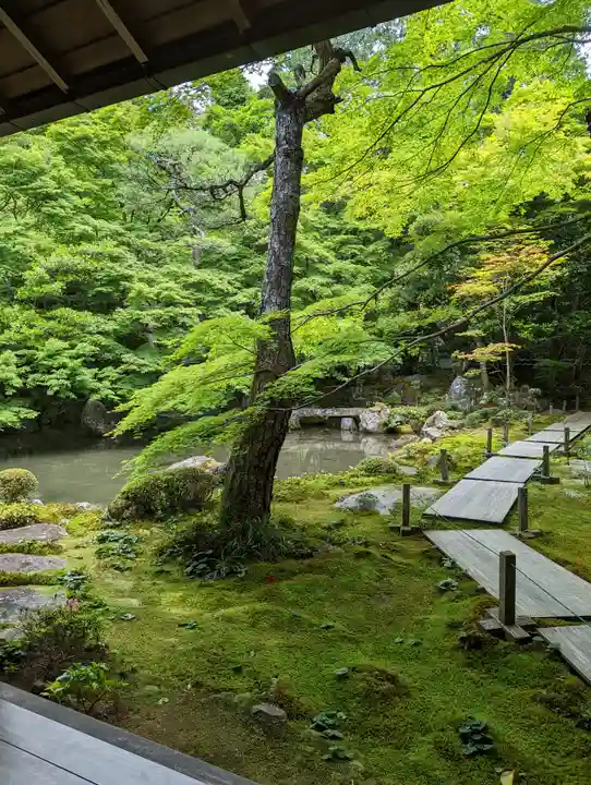 蓮華寺(洛北蓮華寺)の庭園
