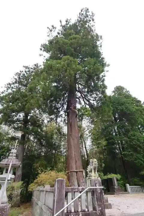 廣籏八幡宮(山口県)