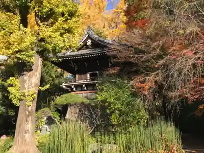 真盛寺(東京都)