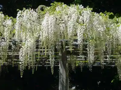 玉敷神社(埼玉県)
