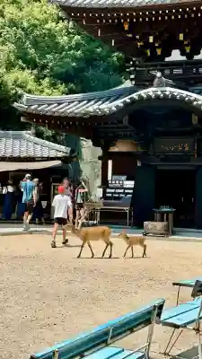 大聖院弥山本堂(広島県)