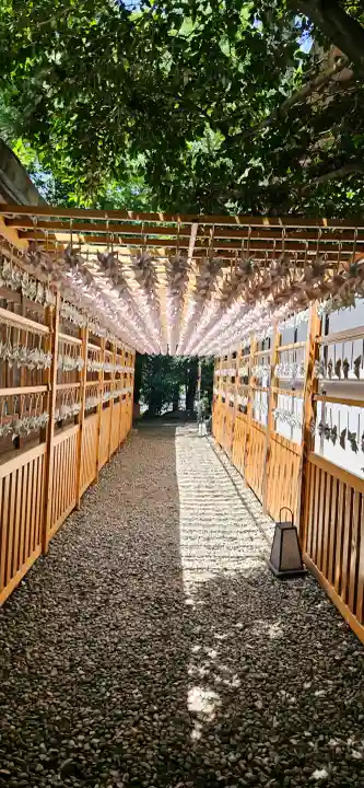 川越氷川神社(埼玉県)