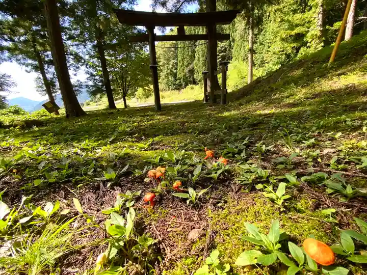 大山祇神社の鳥居