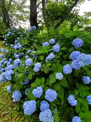 長屋神社(福島県)