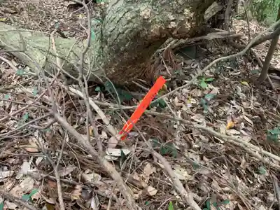 八坂神社(千葉県)