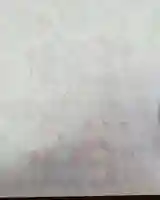 荻窪白山神社(東京都)