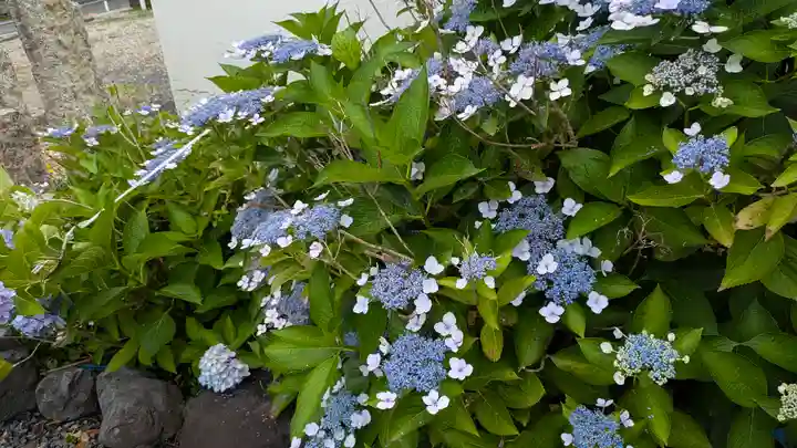 大松禅寺(京都府)