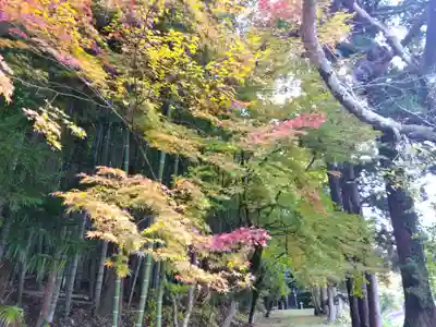 貴船神社(福井県)
