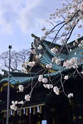三嶋大社(静岡県)