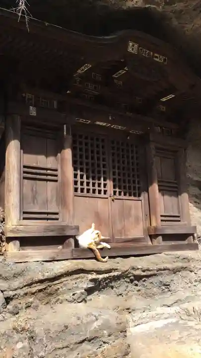 釋尊寺の本殿・本堂