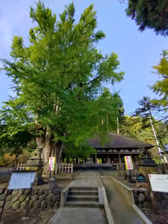 新宮熊野神社(福島県)