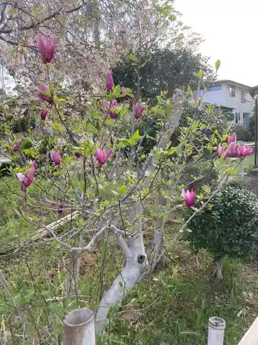東光寺（観音堂）(神奈川県)