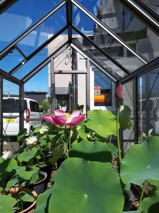 極楽山 浄土寺の自然