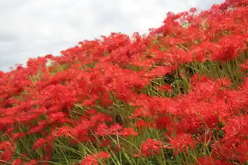 葛城一言主神社の自然