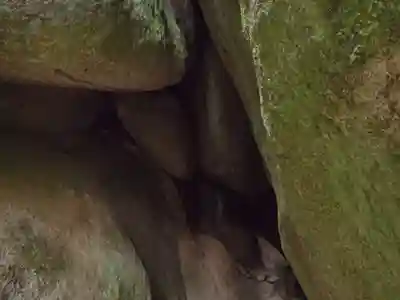 名草厳島神社のその他建物