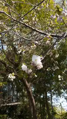 向日神社(京都府)