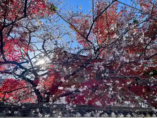 稱名院(東京都)