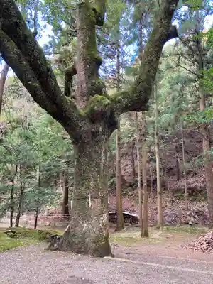 六所神社(滋賀県)