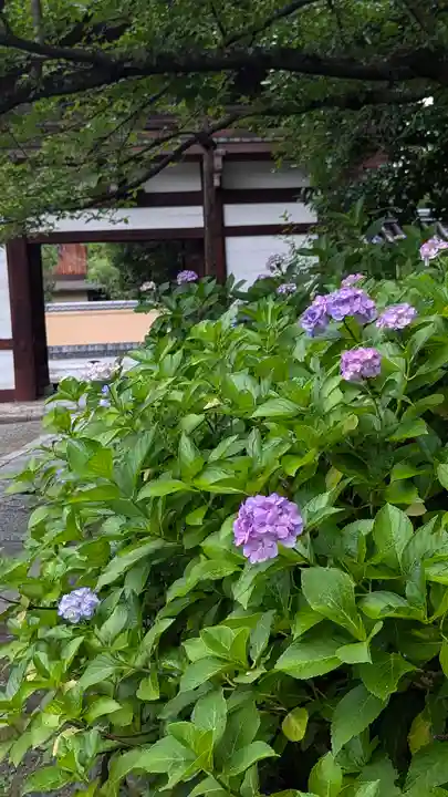 本法寺(京都府)