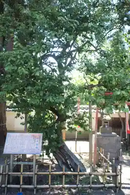 弘道館鹿島神社のその他建物