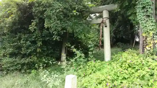 香取神社の鳥居