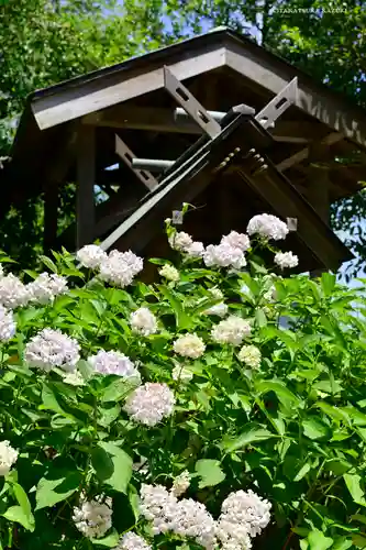 御霊神社の自然