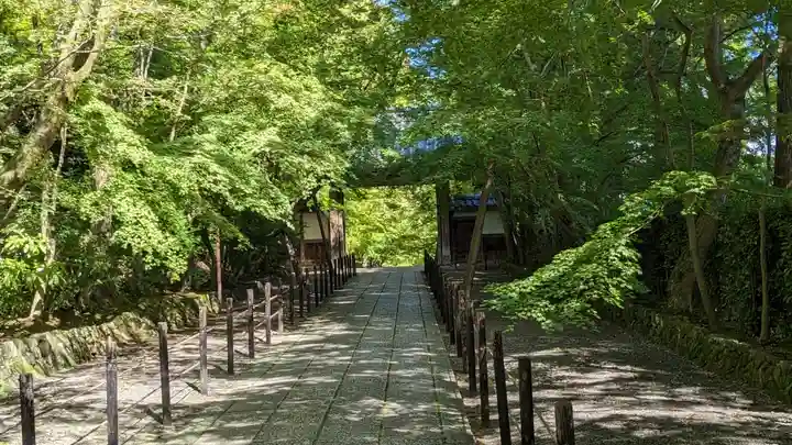 光明寺(粟生光明寺)(京都府)