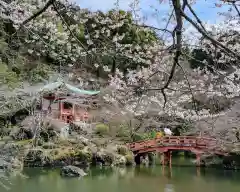 醍醐寺(京都府)