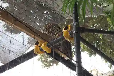 柏諏訪神社(千葉県)