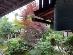 興臨院(京都府)