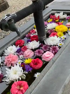 長蓮寺の手水舎