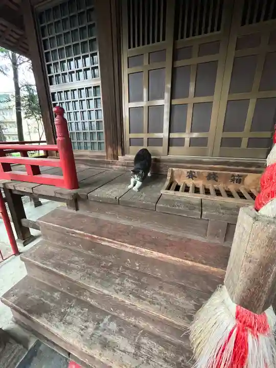 小坂子八幡神社(群馬県)