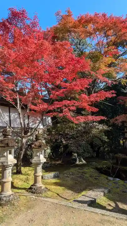 西明寺(京都府)