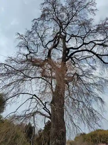 龍光寺(福島県)