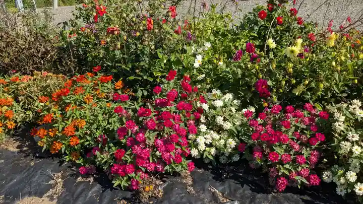 大山祇神社の庭園