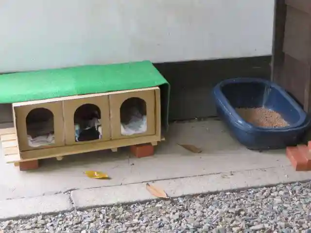 行願寺(革堂)(京都府)