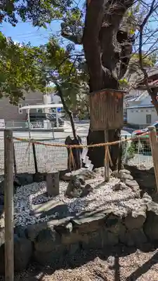 伊勢田神社(京都府)