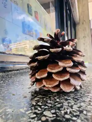 福井神社(福井県)
